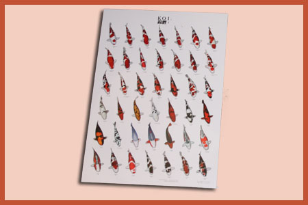 Poster vari�teiten (compleet) A4