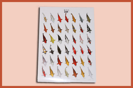 Poster vari�teiten (compleet) A3