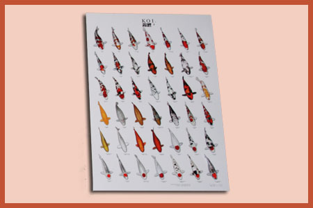 Poster vari�teiten (compleet) A0